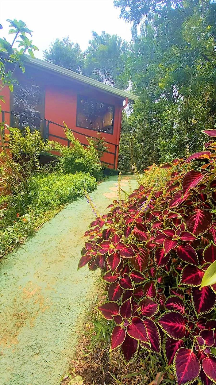 Casa De Montana Tica Linda Vila Monteverde Exterior foto